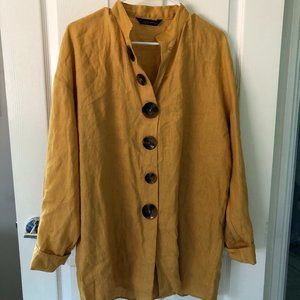 Zara Button-Down Shirt Dress (M)